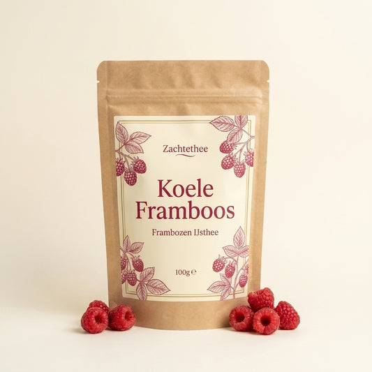 Koele Framboos frambozen ijsthee doypack 100g